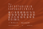 Amonse Ligature Serif Fonts, a Serif Font by Graphicxell (Thumbnail 7 of 8)