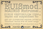 FHA Tuscan Roman, a Serif Font by Fontry West (Thumbnail 11 of 14)