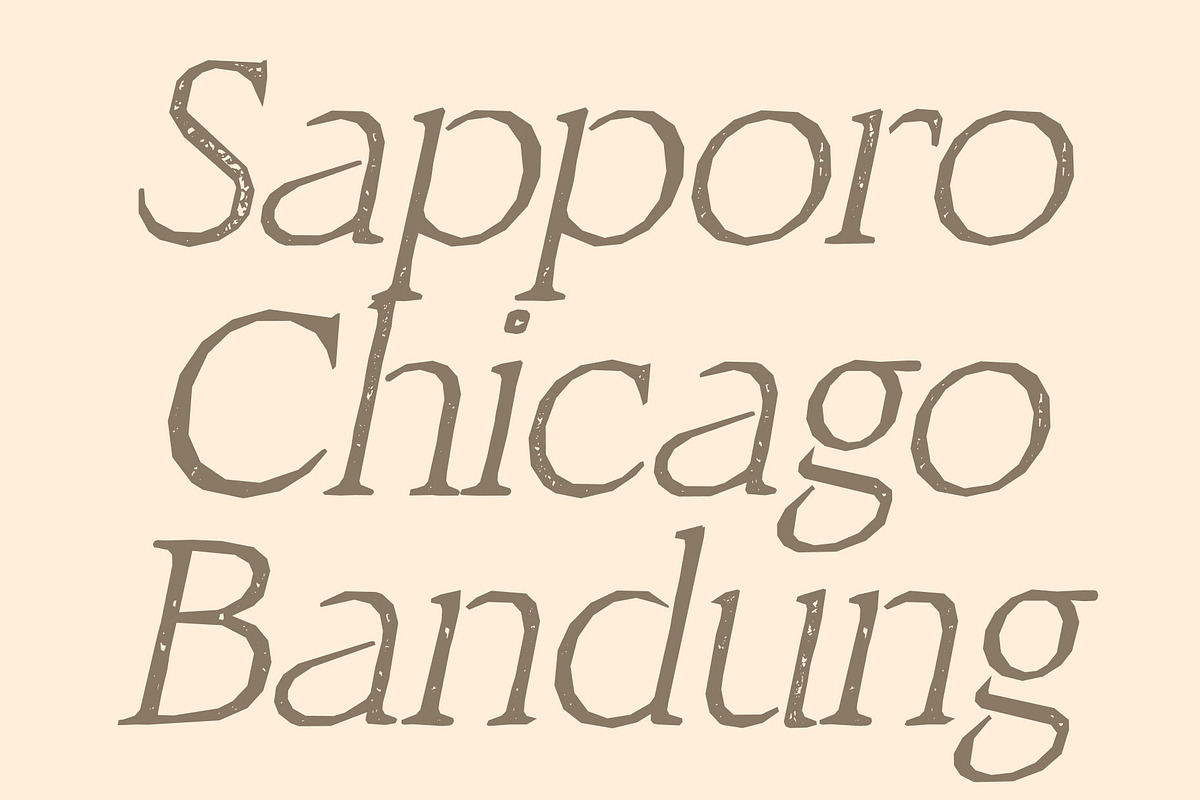 CS Dimension Stamp, a Serif Font by Craft Supply Co. (Photo 5 of 8)