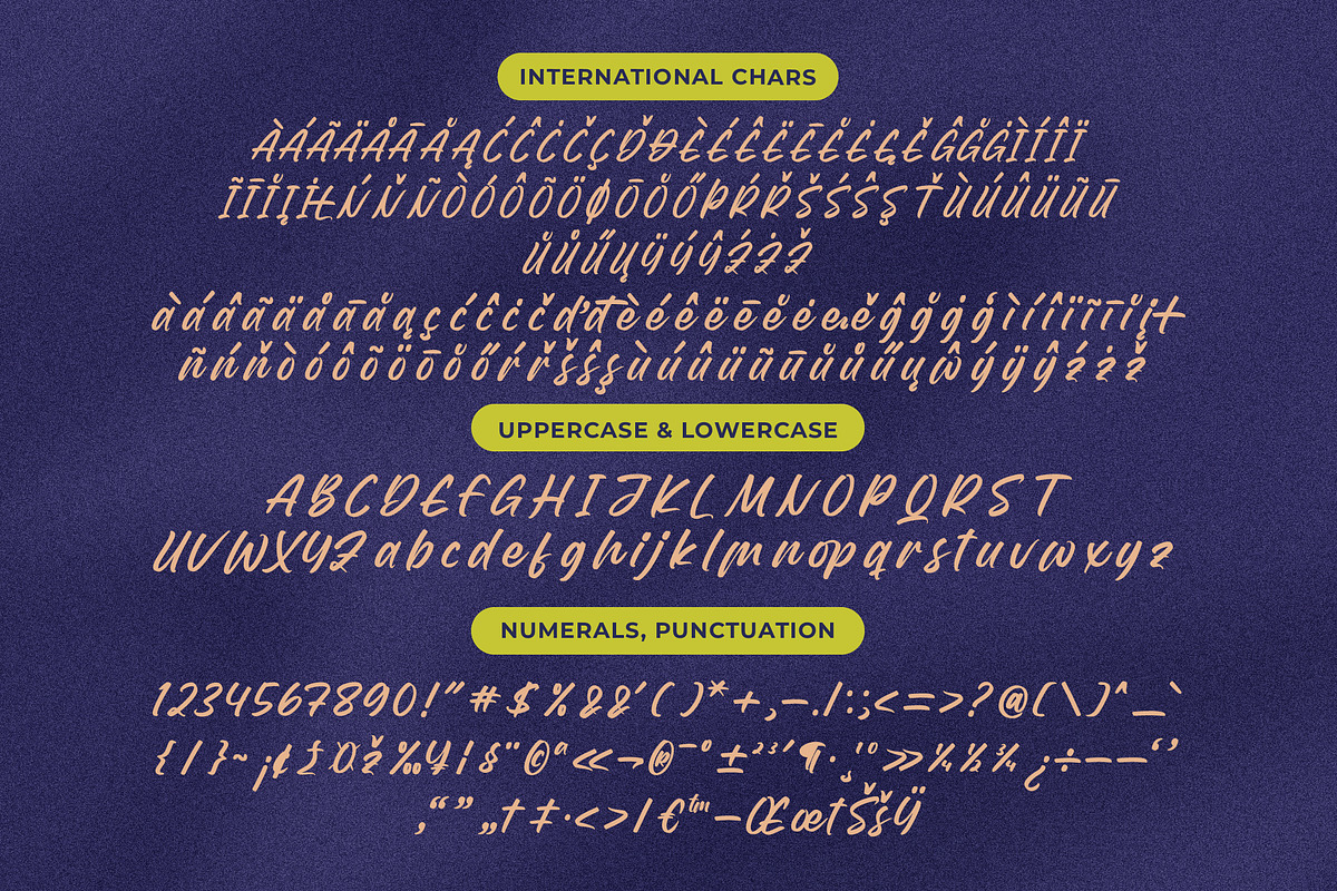 Theglory Skemaro Bold Handwritten, a Script Font by Letterena Studios Script (Photo 18 of 20)