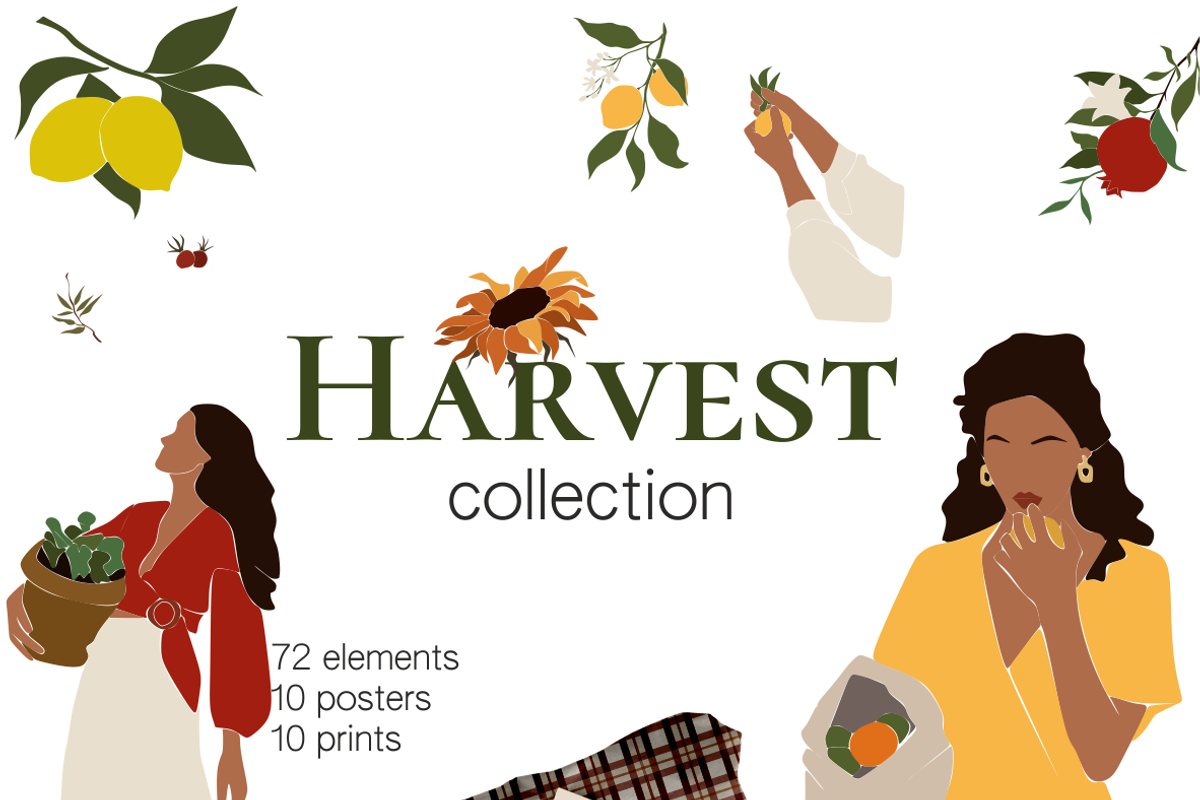 Autumn Harvest vector Collection, an Illustration by Yana_mide (Photo 1 of 8)