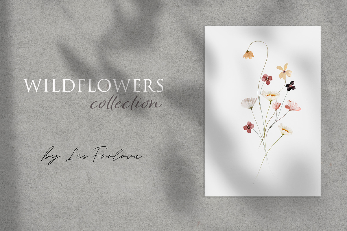 Wildflowers Watercolor Collection, a Decorative Illustration by Les Frolova (Photo 12 of 12)