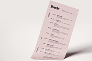 Merchant Ledger - Typewriter Family, a Serif Font by Twinbrush (Thumbnail 2 of 20)