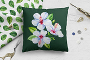 Watercolor tropical hibiscus flowers, an Object Illustration by Hanna Hryharenka (Thumbnail 17 of 18)