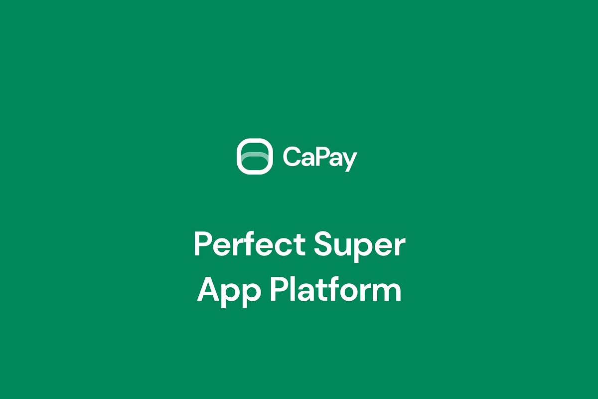 CaPay Wallet iOS UI Kit, an UI Kit Template by CaDesign (Photo 5 of 7)