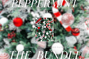 15 Christmas Lightroom Presets, LUTs, a Preset Add-On by TheWayfarerShoppe (Thumbnail 1 of 9)