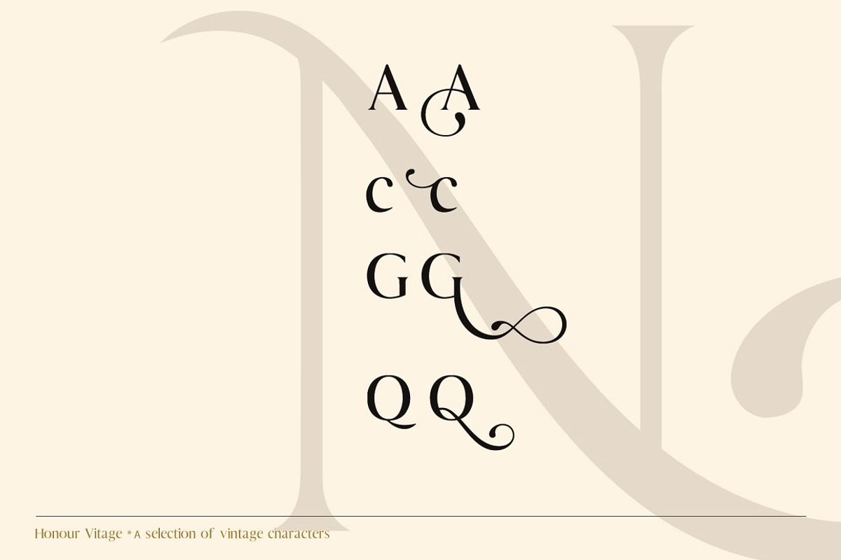 The Modern Serif Font Bundle, a Serif Font by Design 265 (Photo 4 of 33)