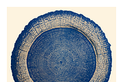 Natt Collection · Organic Tree Rings, a Texture Illustration by milatovar (Thumbnail 10 of 19)