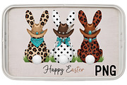 Western Easter Bunny PNG, an Illustration by Black Bird Studio (Thumbnail 2 of 3)