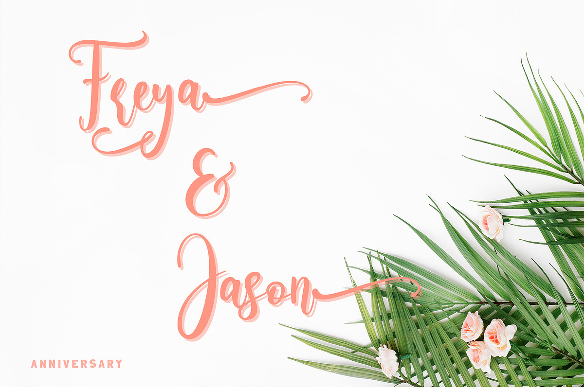 Carelina - Modern Calligraphy, a Script Font by erlosDESIGN (Photo 5 of 12)
