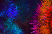 28 Realistic FUR Procreate Brushes, a Brush Add-On by Eldar Zakirov's (Thumbnail 6 of 10)