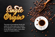 Oatlander - Authentic Bold Script, a Handwritten Font by Almarkhatype (Thumbnail 3 of 12)