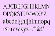 ED Cerfoglio - Classy Serif, a Serif Font by Emyself Design (Thumbnail 4 of 9)