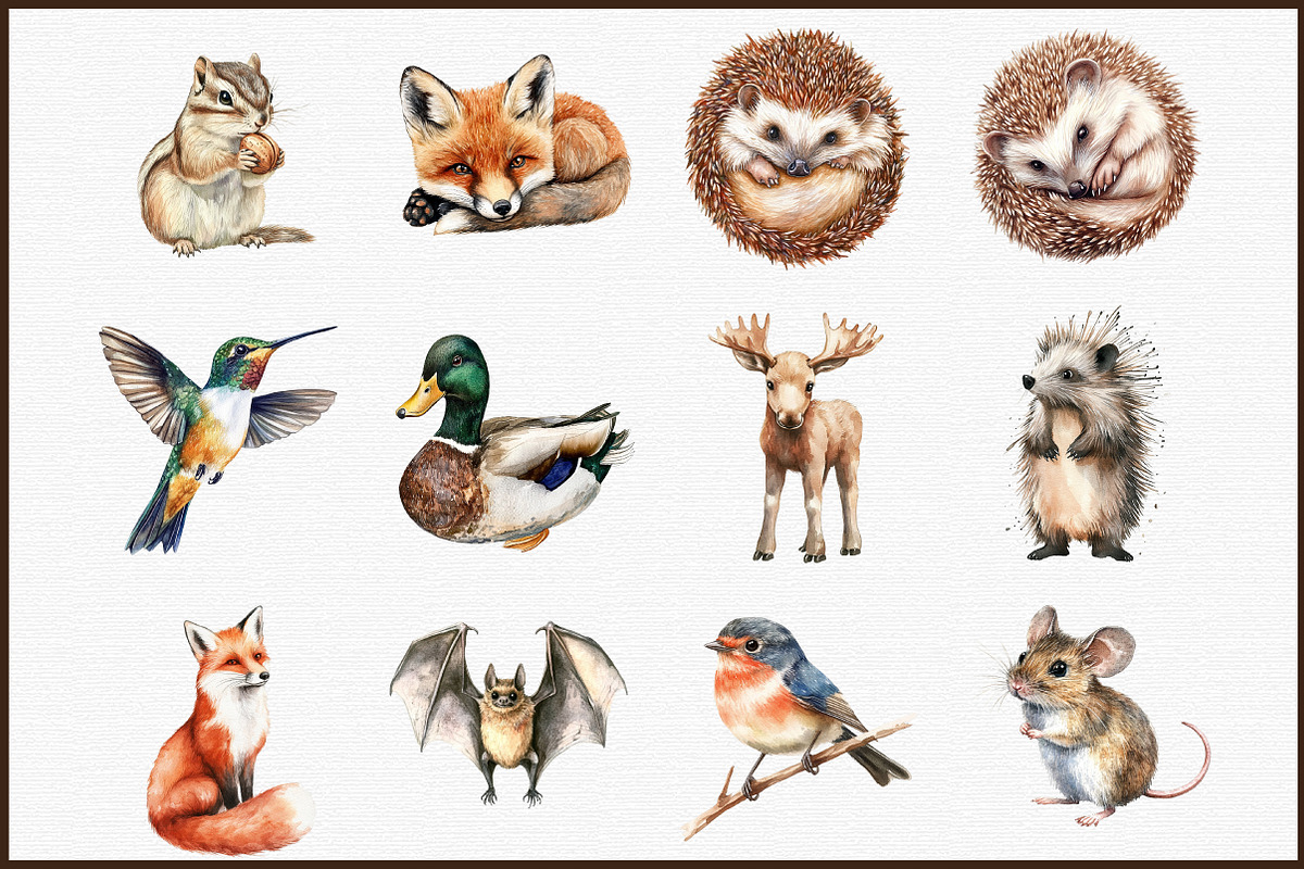 Woodland Clipart Forest Animals Set, an Illustration by Sublimation Artist (Photo 3 of 6)