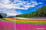 Spring Breeze Lightroom Presets, an Action Add-On by Contrastly Shop (Thumbnail 4 of 4)