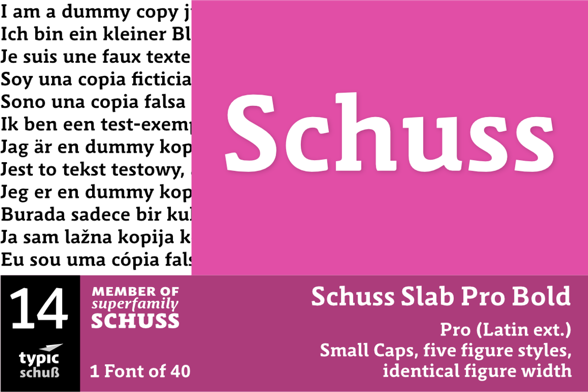 SchussSlabProBold No.14 (1 Font), a Slab Serif Font by typic schuss (Photo 1 of 6)