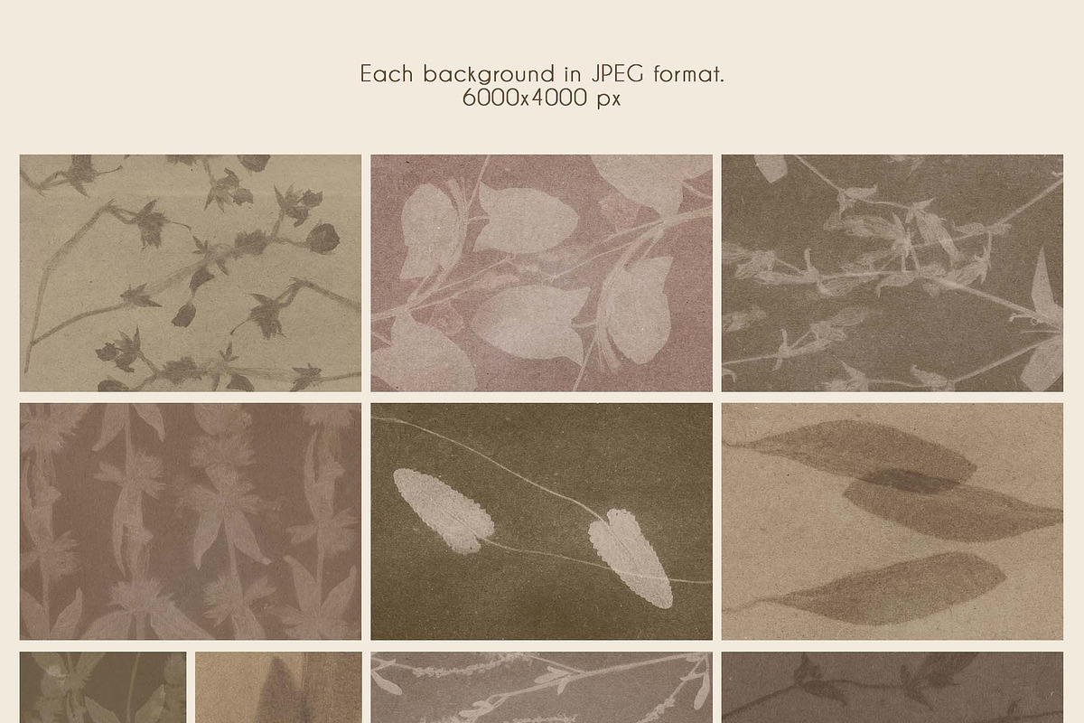 Silent Herbarium Botanical Textures, a Background Graphic by DigARTbyHavroshka (Photo 8 of 11)