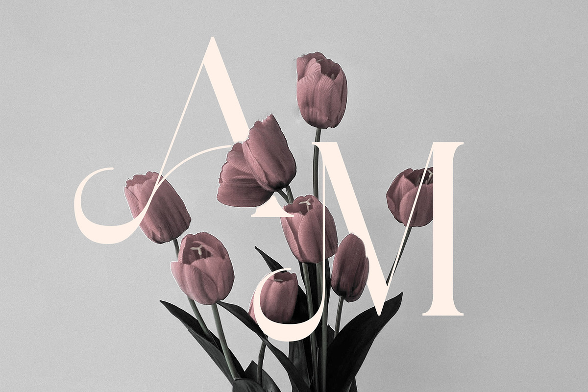 Michola - Beautiful Serif Font, a Serif Font by Aqeel_Art (Photo 7 of 12)