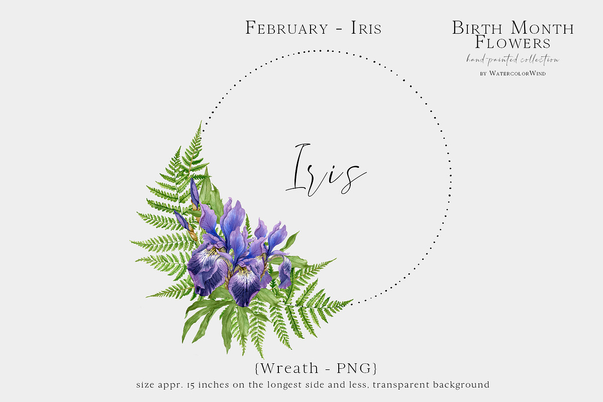 Watercolor Iris Birth Flower Clipart, an Illustration by Ksenia Shmakova (Photo 6 of 6)