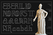 Andromeda Unique Display Typeface, a Serif Font by Absonstype (Thumbnail 6 of 11)