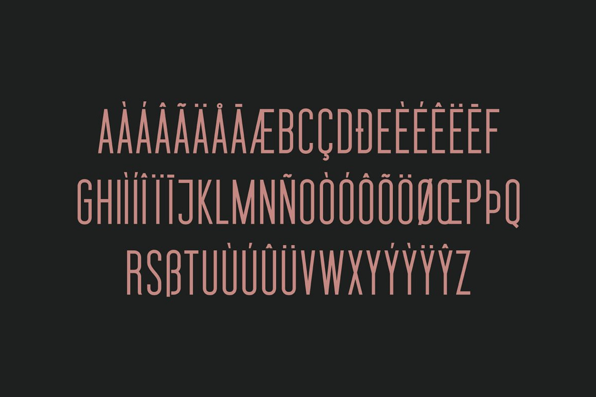 Braden Sans Font Family preview 2