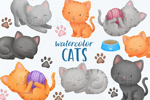 Watercolor Cat Illustrations