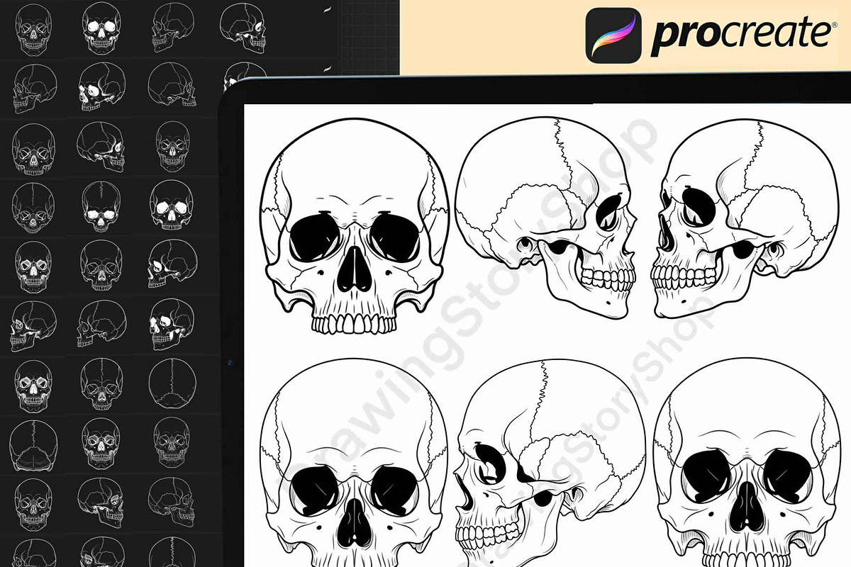 160 Procreate Skull Stamp Brushes, a Brush Add-On by DrawingStoryShop (Photo 5 of 6)