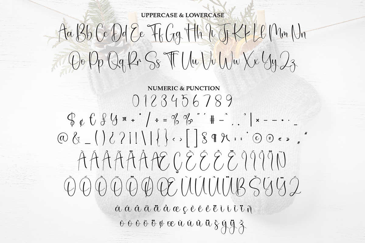 Wintersock | Script Font, a Handwritten Font by Scratchones (Photo 7 of 8)