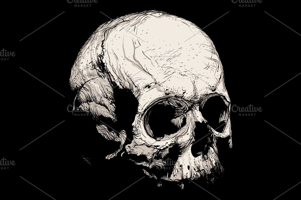 Skull, an Object Graphic by ArtOwl (Photo 4 of 10)