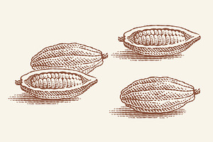 Cocoa beans, a Graphic by Irina Trusova