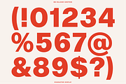 BN Hillside Grotesk, a Sans Serif Font by Bnick (Thumbnail 12 of 14)
