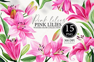Watercolor Pink Lily Floral Elements