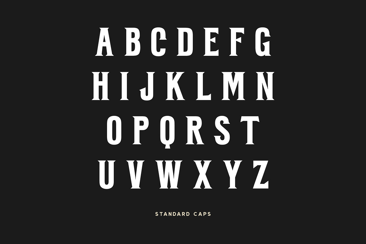 BARBER - Vintage Serif, a Serif Font by Creative Type (Photo 5 of 6)
