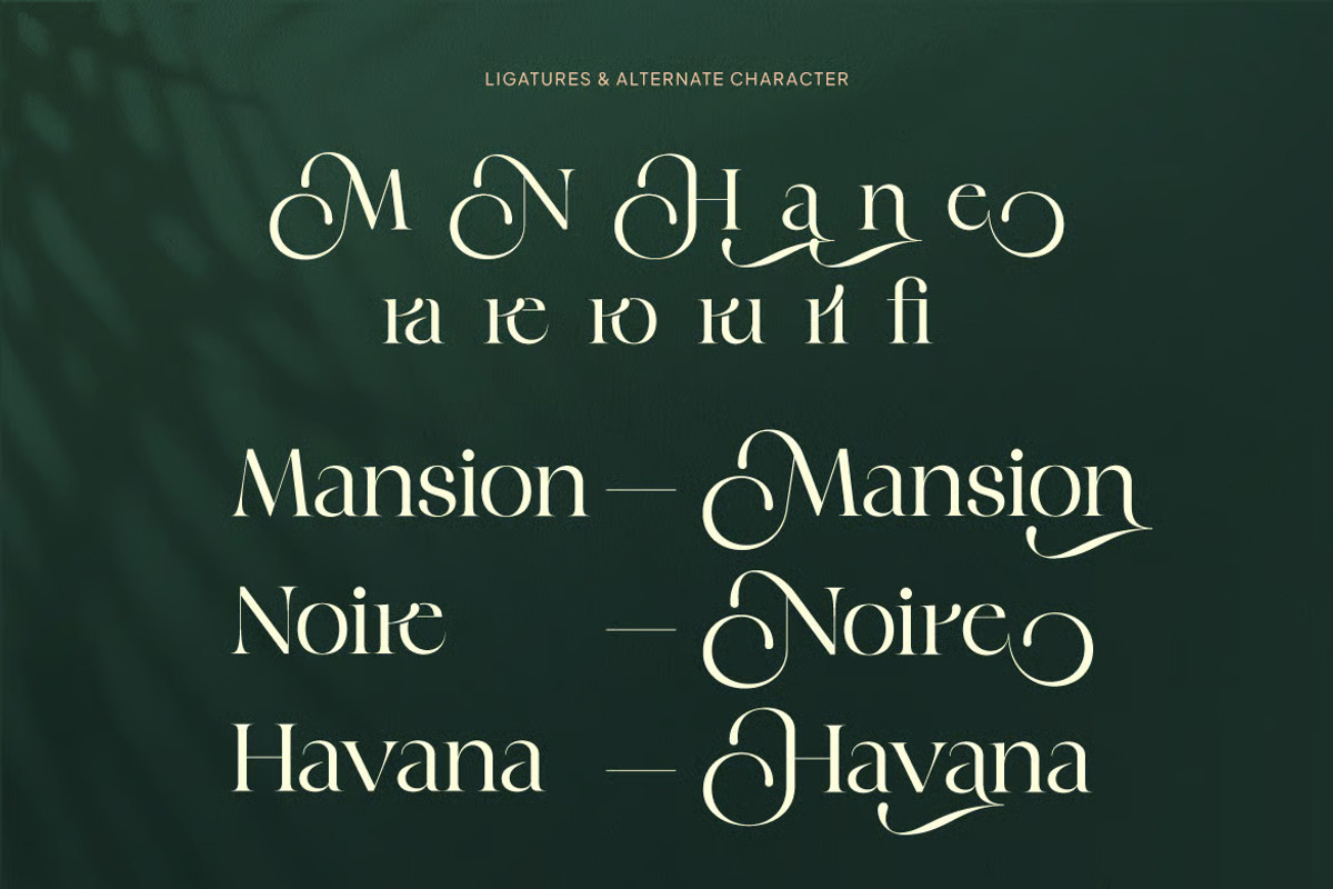 Margline – Stylish Serif Typeface, a Serif Font by Brand Earth (Photo 3 of 8)