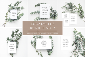 Scandinavian Eucalyptus Bundle No. 2