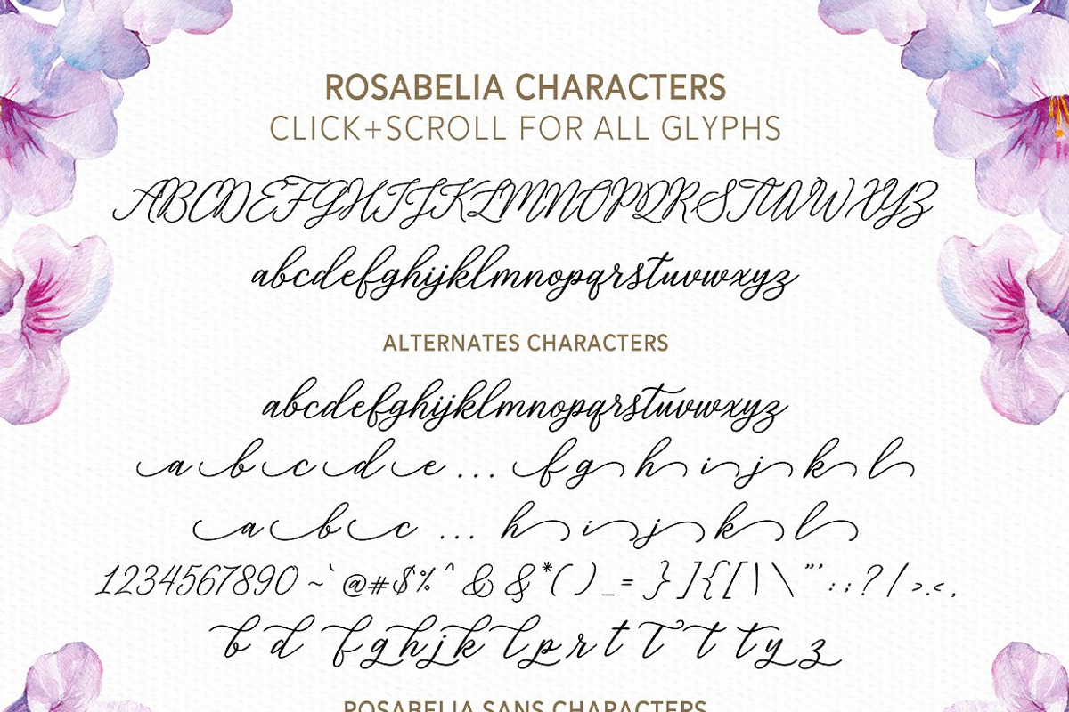 Rosabelia - Script & Sans Serif, a Script Font by Solidtype (Photo 10 of 11)