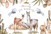 Cute Llama & Guanaco Watercolor Set, an Animal Illustration by Ann Art Houze (Thumbnail 10 of 10)
