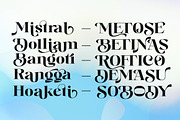 Brokline Serif Typeface, a Serif Font by Megatype (Thumbnail 11 of 16)