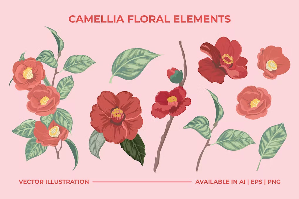 Camellia Floral Elements, a Decorative Illustration by FDR Studio
