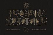 Tropic Summer - Botanical Luxury Dis, a Symbol Font by AndrewPixelType (Thumbnail 1 of 9)