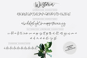 Wisteria Script, a Script Font by Calamar Studio (Thumbnail 2 of 13)