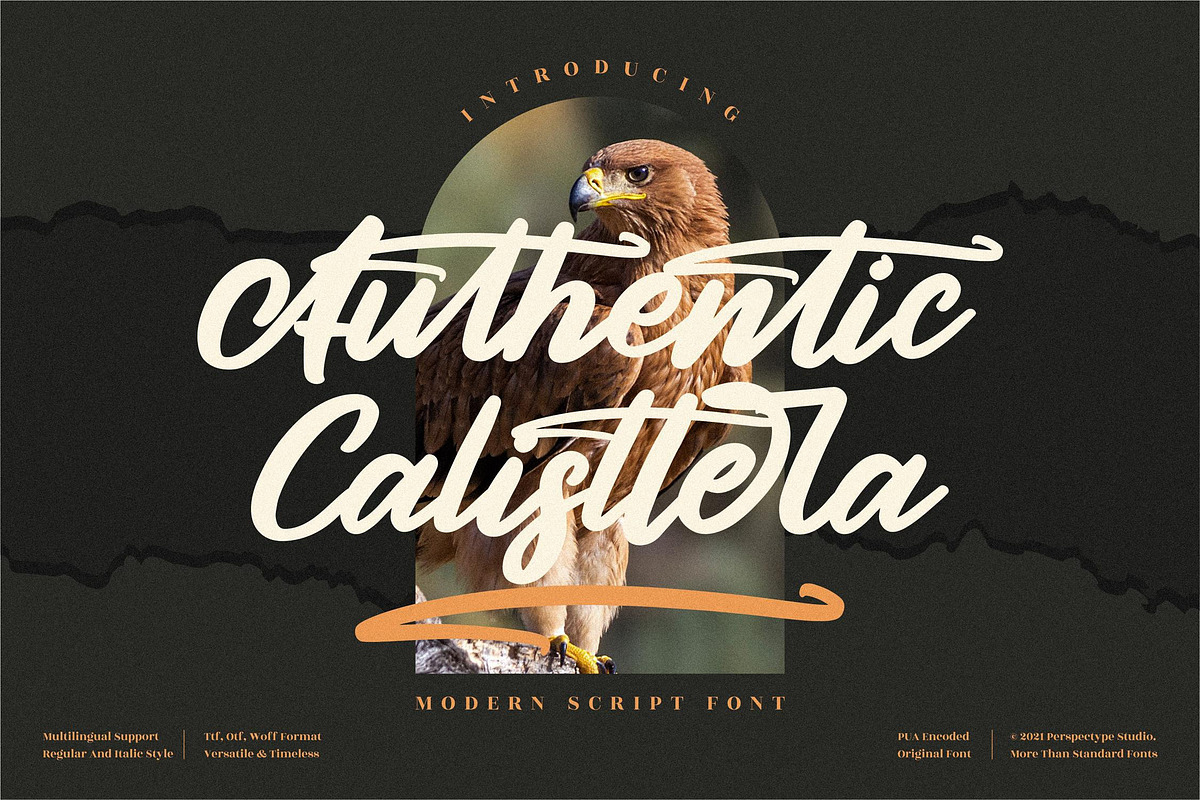 Authentic Calisttera Script Font LS, a Script Font by GranzCreative (Photo 1 of 12)