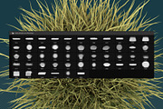 Grass Brushes for PS and PNGs, a Brush Add-On by Creative Graphics (Thumbnail 5 of 6)