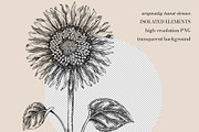 Autumn Heritage Botanical Collection, a Seasonal Illustration by Yevheniia (Thumbnail 5 of 13)