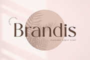 Brandis – Elegant & Modern Serif, a Serif Font by BrandSemut (Thumbnail 1 of 8)