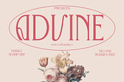 Advine, a Serif Font by Craft Supply Co. (Thumbnail 1 of 8)