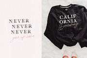 California Palms Fonts & Graphics, a Serif Font by Nicky Laatz (Thumbnail 38 of 48)