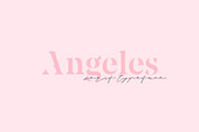 Angeles | A Serif Font Family, a Serif Font by Pixel Supply Co. (Thumbnail 1 of 9)
