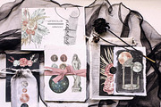 Whole Shop Huge BUNDLE - 44 in 1, an Object Illustration by Kaleriia (Thumbnail 21 of 42)