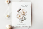 Pressed Flowers (Png) Elements, a Background Graphic by by creative paper (Thumbnail 3 of 13)